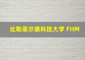 比勒菲尔德科技大学 FHM